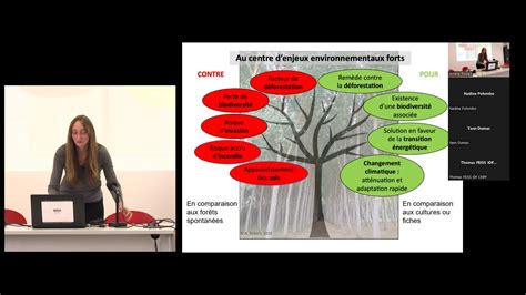 Les Plantations Foresti Res Une Solution Face Aux Changements