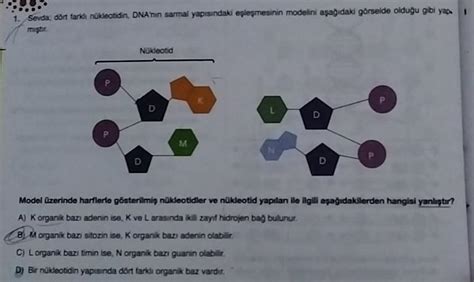 ACİL Soruyu açıklayarak anlatırmısınız Boş yorum yazan açıklamasız