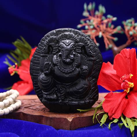 Buy Vedic Vaani Vakratunda Ganesh Shaligram