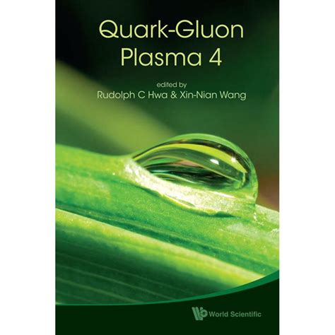 Quark-Gluon Plasma 4 (Hardcover) - Walmart.com - Walmart.com