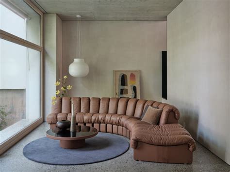 DS 600 SNAKE Sofas From De Sede Architonic