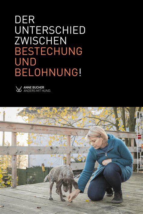 Belohnungen Im Hundetraining 11 Fragen Antworten Anne Bucher