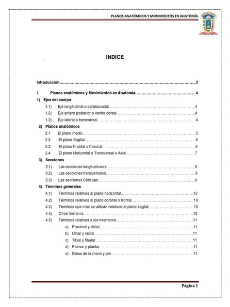 PDF Planos Anatomicos Y Movimientos En Anatomia Monografia 1