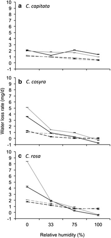 Water Loss Rate Of Ceratitis Capitata A C Cosyra B And C Rosa