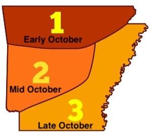 Fall Foliage in Arkansas - Ultimate Guide 2025