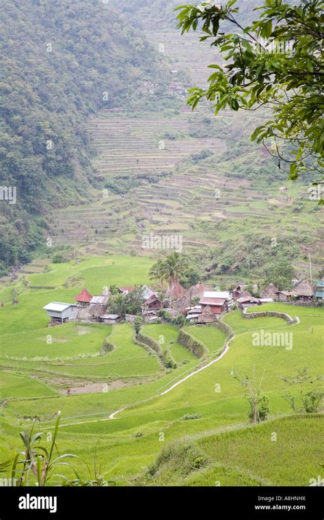 Bangaan rice terraces hi-res stock photography and images - Alamy