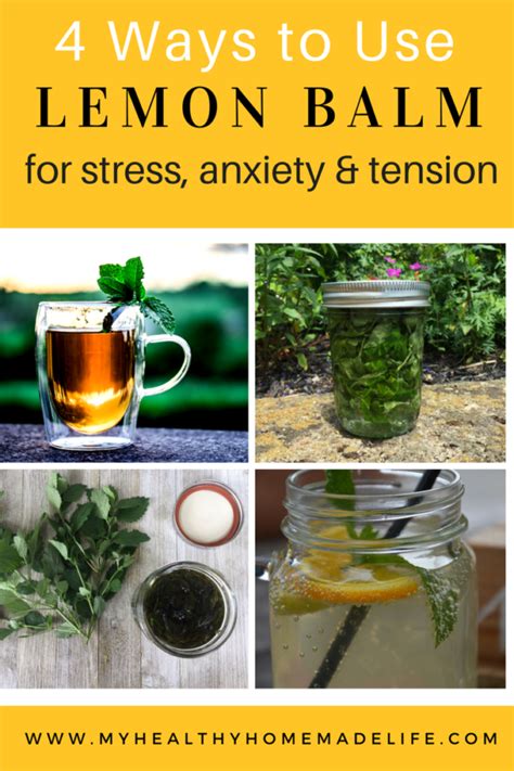 How to Use Lemon Balm for Stress, Tension and Anxiety | Herbal Remedies ...