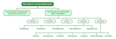 Diversity In Living Organisms Classification Overview Class 9 Biology