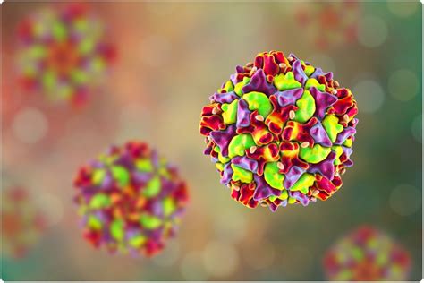 Scientists discover weakness in common cold virus