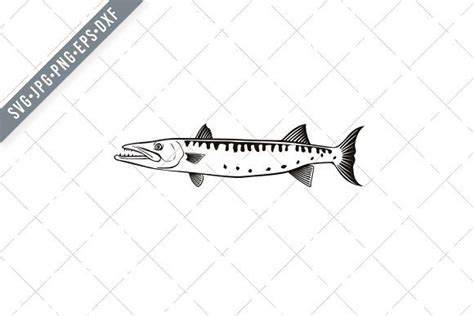 Barracuda Swimming Side SVG | Tiger fish, Art images, Illustration design