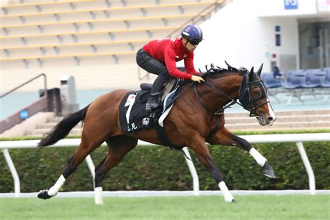 【香港カップ】プログノーシスは川田騎手と息の合った力強い動き、2度目異国の地で栄冠つかむ 海外 競馬写真ニュース 日刊スポーツ