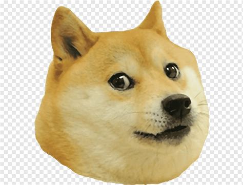 Shiba Meme Png