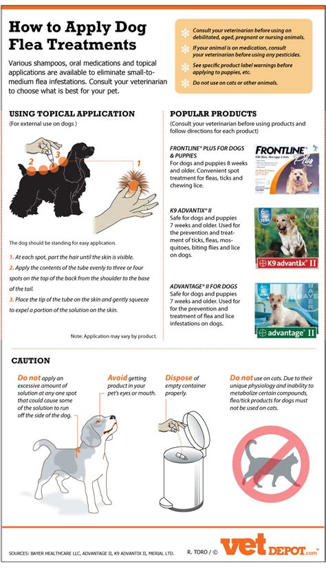 Effective Way to Put Dog Flea Treatment