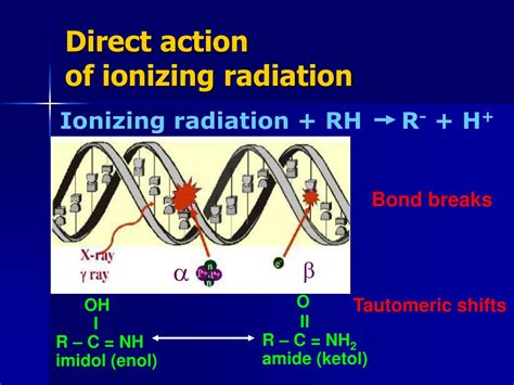 PPT - BIOLOGICAL EFFECTS OF IONIZING RADIATION AT MOLECUL ES AND C ELL ...