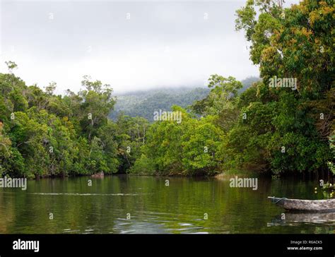 Masoala National Park Landscape Madagascar Stock Photo Alamy