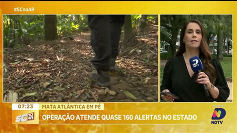 Operação Mata Atlântica em Pé conclui ações mais de 150 alertas em SC