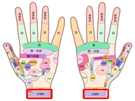 「性欲」を高める手ツボ ぶっちゃけ鍼灸師の人に教えたくなるツボ