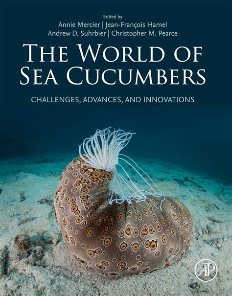 The World Of Sea Cucumbers Challenges Advances And Innovations