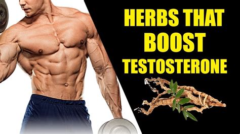 Herbs That Boost Testosterone YouTube