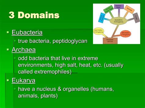 Classification Of Microorganisms Ppt