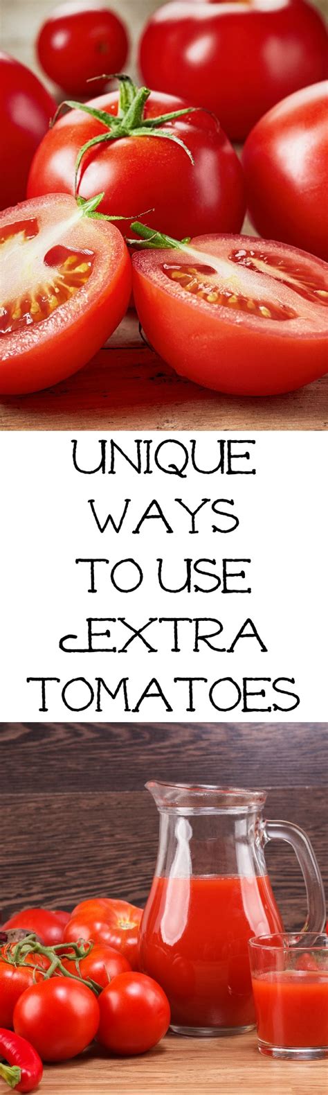 Unique Ways To Use Extra Tomatoes Bargainbriana