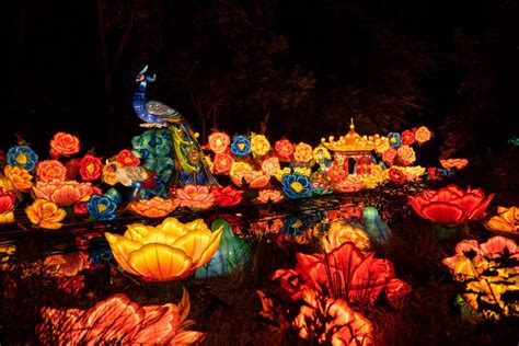 Asian Lantern Festival At The Cleveland Zoo A Complete Guide