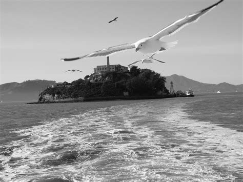 Having Housed Such Infamous Names As Al Capone Alcatraz Island Has