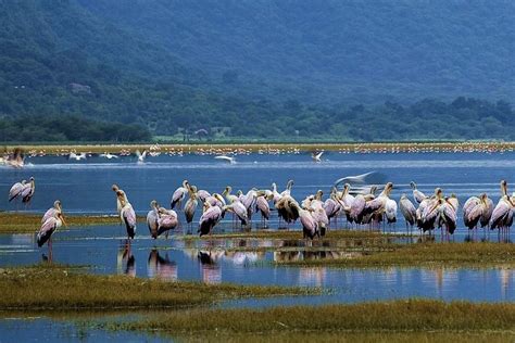 6 Days Lake Manyara Serengeti Ngorongoro Tarangire Safari Right