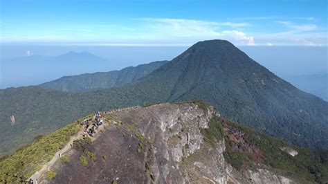 Menelusuri Jejak Mistis Di Balik Pesona Edelweis Nya Gunung Gede