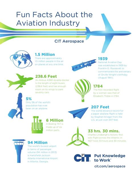 Aviation Industry Infographic