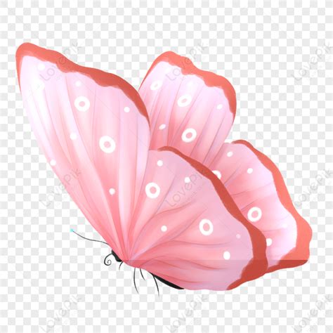 Flores Voladoras Y Mariposas PNG Imágenes Gratis Lovepik