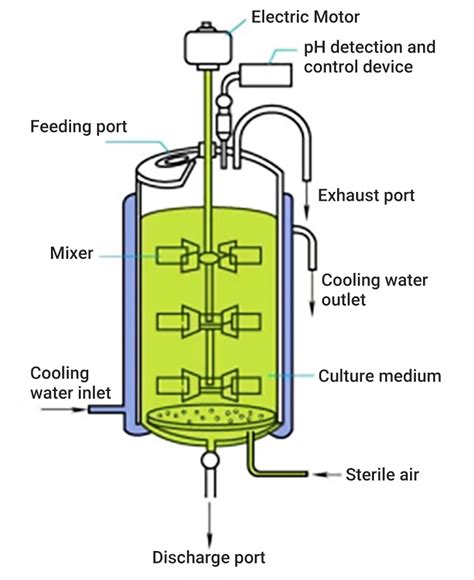 application  agitators  fermentation tanks laboao
