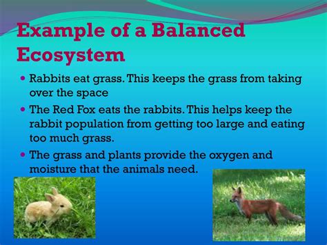 Ppt Changes In Ecosystem Powerpoint Presentation Free Download Id