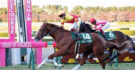 【予想】 3月26日 中京11r 高松宮記念 見解・印｜ジャスミン太郎の競馬予想 Note｜note