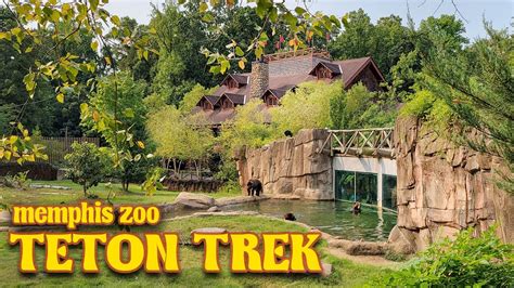 Zoo Tours Teton Trek Walkthrough Memphis Zoo Youtube