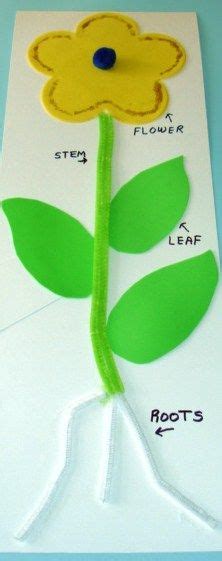 Plant Crafts For Kindergarten