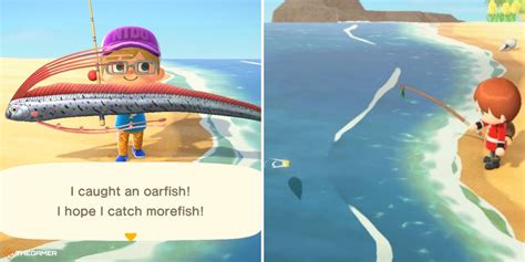 Your Complete Guide To Fishing In Animal Crossing New Horizons