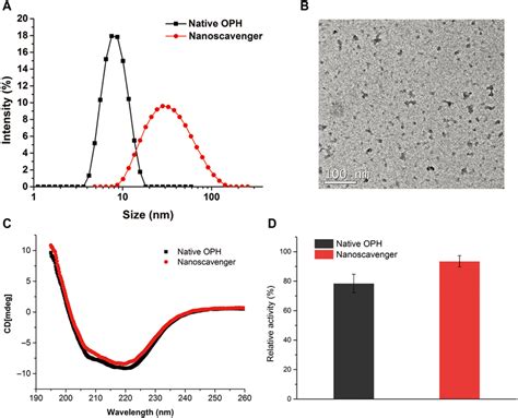 Characterizations Of The Nanoscavenger A DLS Measurement Of The