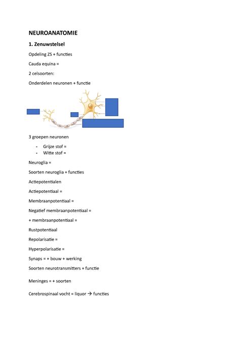 Neuroanatomie Sv Samenvatting Neuroanatomie Zenuwstelsel