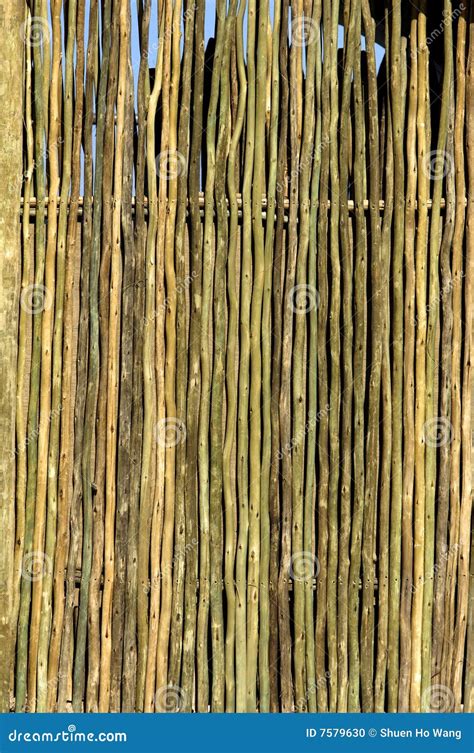 Texture Of Thin Wooden Wall Stock Photo Image Of Beige Natural 7579630