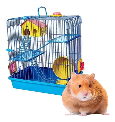 Gaiola Para Hamster Sírio - Gaiola De Luxo Para Hamster Sírio Anão Russo Com Labirinto | Frete grátis