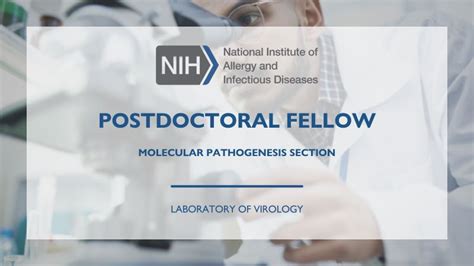 The National Institutes Of Health On Linkedin Postdoctoral Fellowship