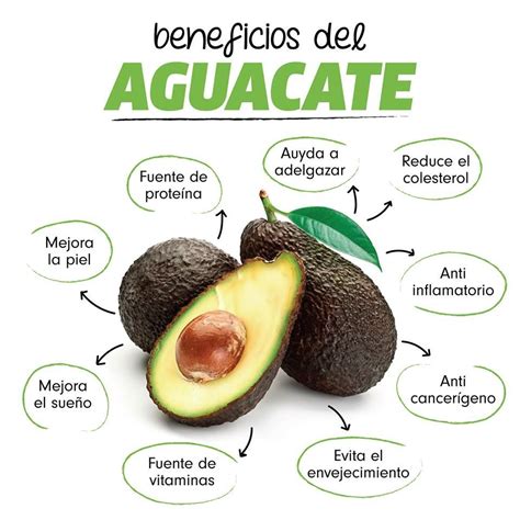 Aguacate Y Sus Beneficios Frutas Y Verduras Beneficios Beneficios De