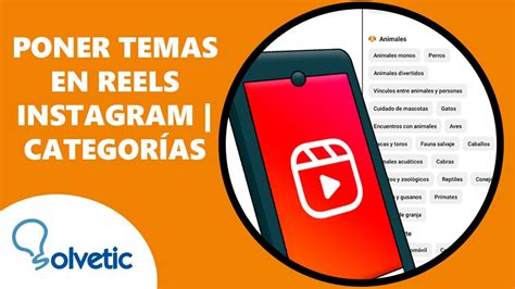 C Mo Separar Y Organizar Reels Instagram Poner Temas Instagram