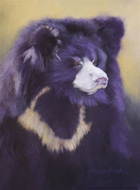 Sloth Bear | Artists for Conservation