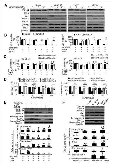 Inhibition Of Akt Reverses The Acquired Resistance To Sorafenib By