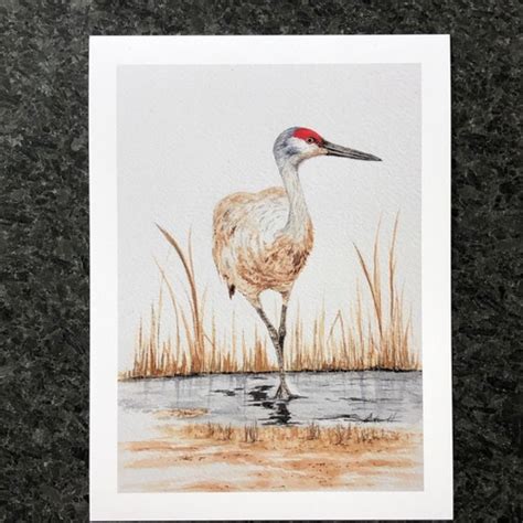 Sandhill Crane Watercolor Art Print Sandhill Crane Bird - Etsy