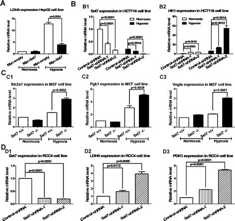 Figure From Repression Of Hypoxia Inducible Factor Signaling By