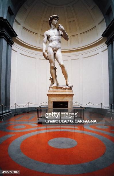 David De Michelangelo Photos And Premium High Res Pictures Getty Images