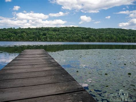 Kittatinny Valley State Park Alphabe Thursday By Claudia Willison